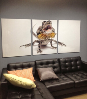 professional art installation, picture hanging, dallas, fort worth