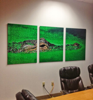 professional art installation, picture hanging, dallas, fort worth