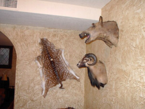 professional art installation, picture hanging, dallas, fort worth