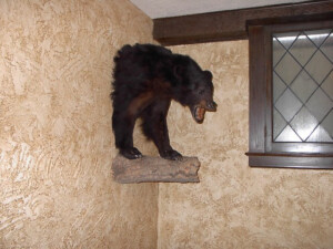 professional art installation, picture hanging, dallas, fort worth