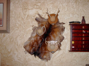 professional art installation, picture hanging, dallas, fort worth