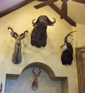 professional art installation, picture hanging, dallas, fort worth