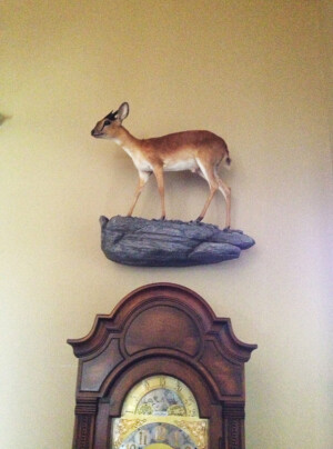 professional art installation, picture hanging, dallas, fort worth