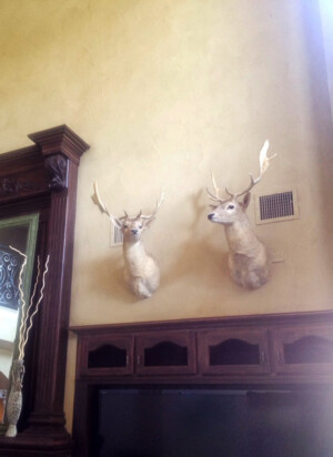 professional art installation, picture hanging, dallas, fort worth