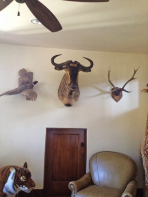 professional art installation, picture hanging, dallas, fort worth, austin, houston, san antonio