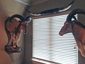 professional art installation, picture hanging, dallas, fort worth