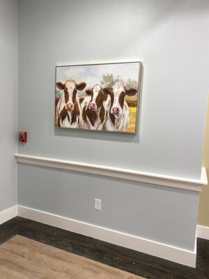 professional art installation, picture hanging, dallas, fort worth, austin, houston, san antonio
