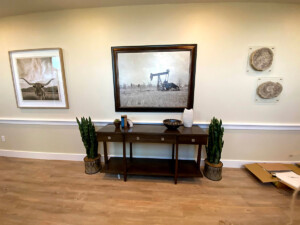 professional art installation, picture hanging, dallas, fort worth, austin, houston, san antonio