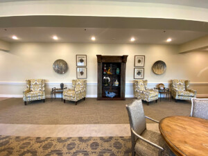professional art installation, picture hanging, dallas, fort worth, austin, houston, san antonio