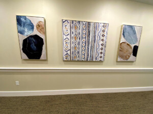 professional art installation, picture hanging, dallas, fort worth, austin, houston, san antonio
