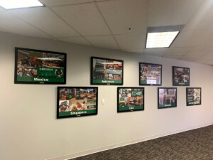 professional art installation, picture hanging, dallas, fort worth, austin, houston, san antonio