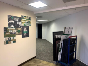 professional art installation, picture hanging, dallas, fort worth, austin, houston, san antonio