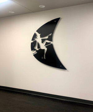 professional art installation, picture hanging, dallas, fort worth, austin, houston, san antonio